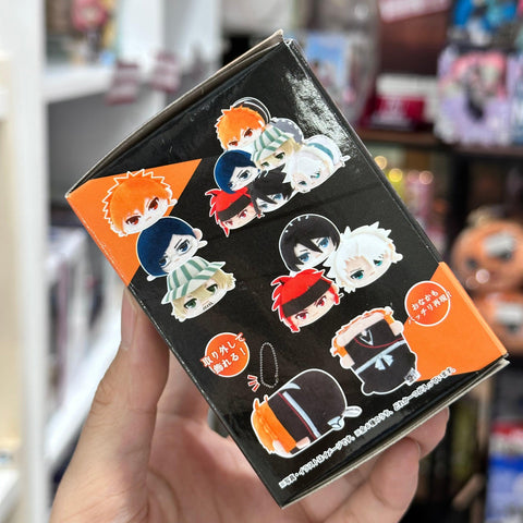 Bleach: Thousand-Year Blood War: Potekoro Plush Mascot (1 Random) BY TV ANIME