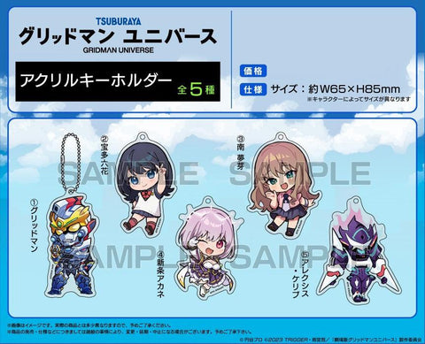 GRIDMAN UNIVERSE TEAM Entertainment Acrylic Key Chain Gridman(1-5 Selection)