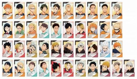 Haikyu!! Snapmide 2 Polaroid Card