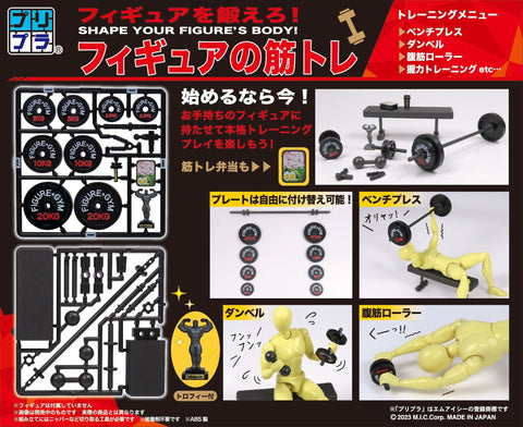 MIC Pripra Figure of Strength Training