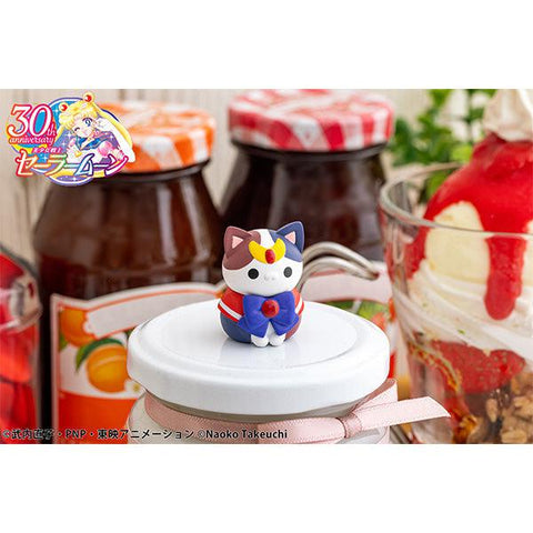 Pretty Guardian Sailor Moon MEGAHOUSE MEGA CAT PROJECT Sailor Mewn 2024 ver.(set of 8)