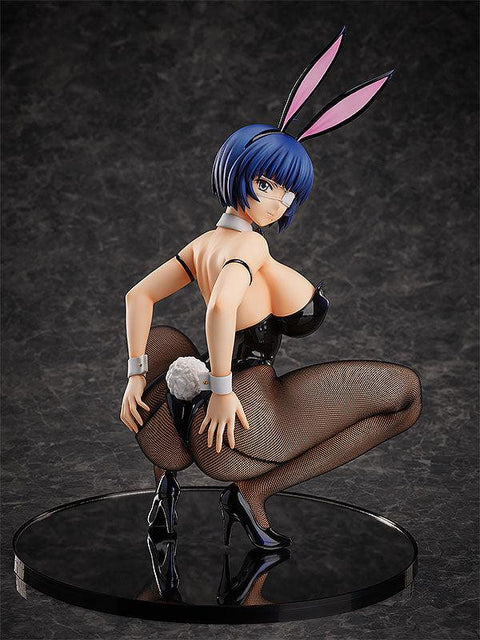 Shin Ikki Tousen FREEing Ryomou Shimei: Bunny Ver. 2nd