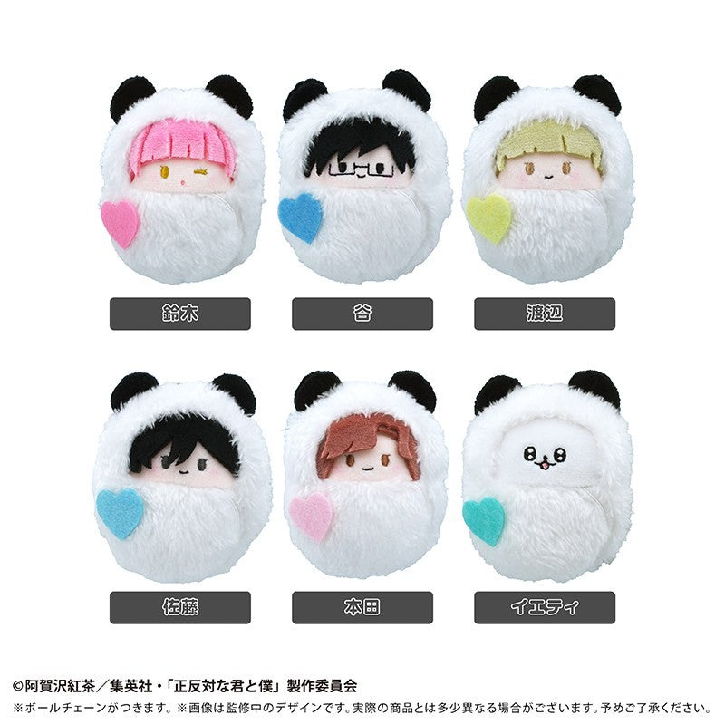 You and I Are Polar Opposites – Kurumitapi Nui Panda Ver. Plush Blind Box (Tapioca) – 1 Random Pull