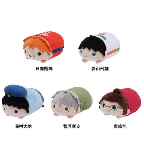 "Haikyu!!" Character Mascot Plush (HQ10thVer.) [preorder]