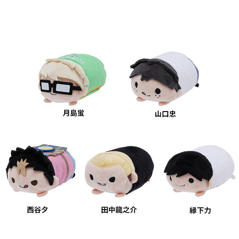 "Haikyu!!" Character Mascot Plush (HQ10thVer.) [preorder]