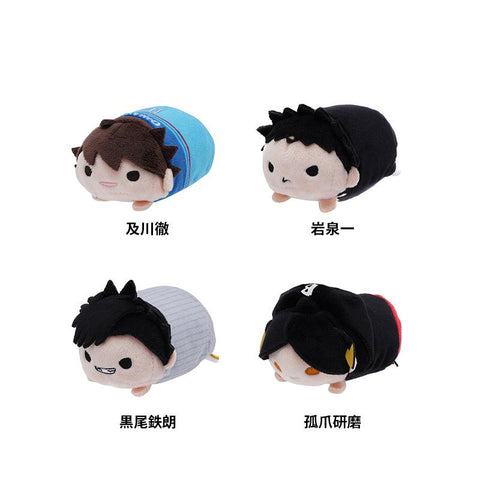 "Haikyu!!" Character Mascot Plush (HQ10thVer.) [preorder]