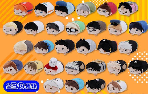 "Haikyu!!" Character Mascot Plush (HQ10thVer.) [preorder]