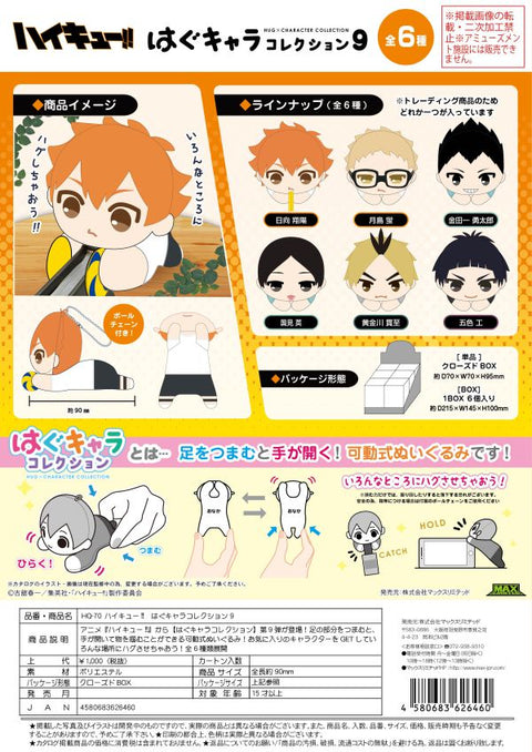 Haikyu!! HUG CHARACTER COLLECTION9 plush [preorder]