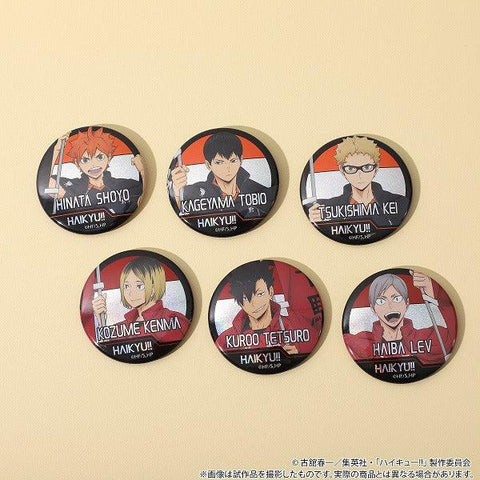 Haikyu!! Trading Holographic Badge Flag