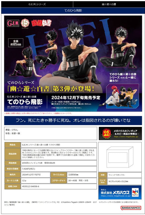 MegaHouse G.E.M. series YuYu Hakusho Palm size Hiei G.E.M. YuYu Hakusho [preorder]