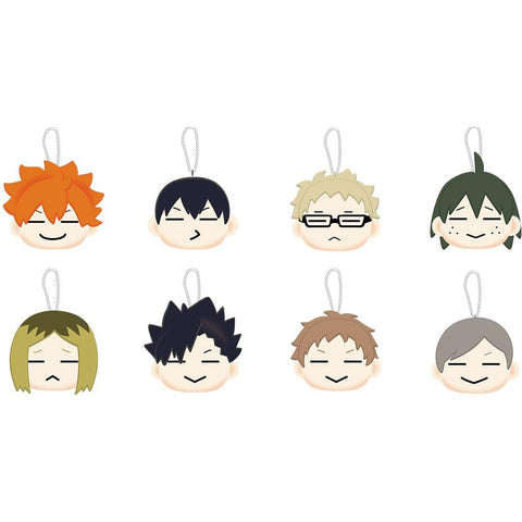 Toho Exclusive Haikyu!! Mascot Plushie Blind Box