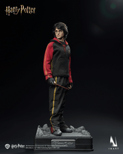 INART - Harry Potter and the Goblet of Fire - Harry Potter 1/6 Collectible Figure