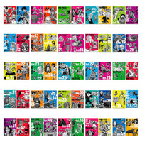 One Piece vol.100 Anniversary Ichiban Kuji Prize Folder A4 Folders Set of 2 (1 Set Random)