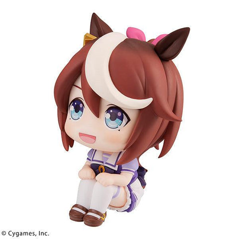 Uma Musume Pretty Derby MEGAHOUSE Look up Tokai Teio